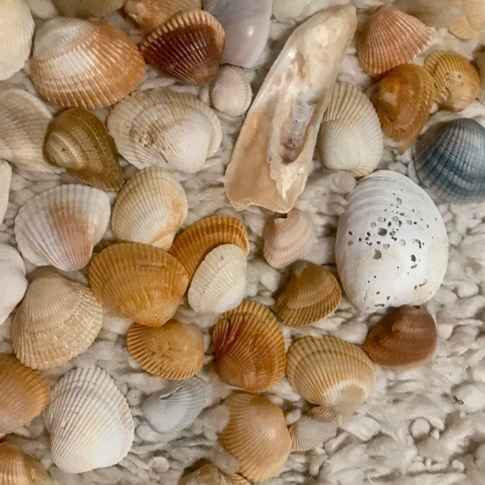 Custom shell bundle — PLEASE READ